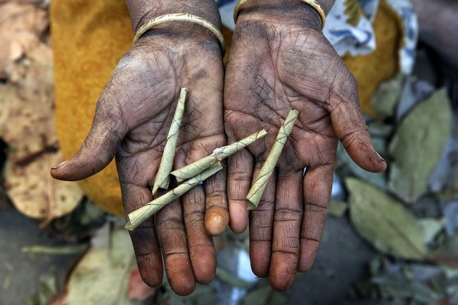 Beedis in Sagar, Madhya Pradesh, India. Beedis are thin hand-rolled cigarettes filled with tobacco flake, usually wrapped in leaves from a tendu tree