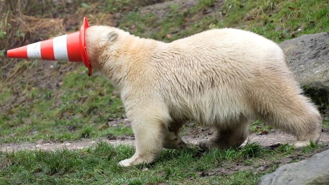 One of the twins plays with a cone