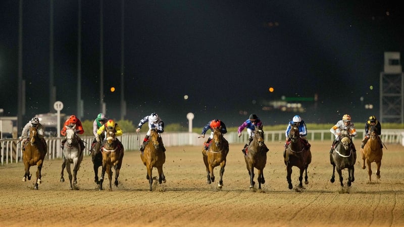 Racing fans can look forward to many more fixtures in the Wee County