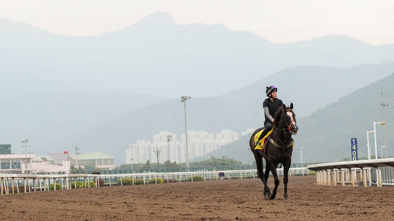 Sole Power's best runs to date have come over the minimum trip of five furlongs