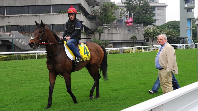 Gordon Lord Byron reverts back to six furlongs at the Curragh
