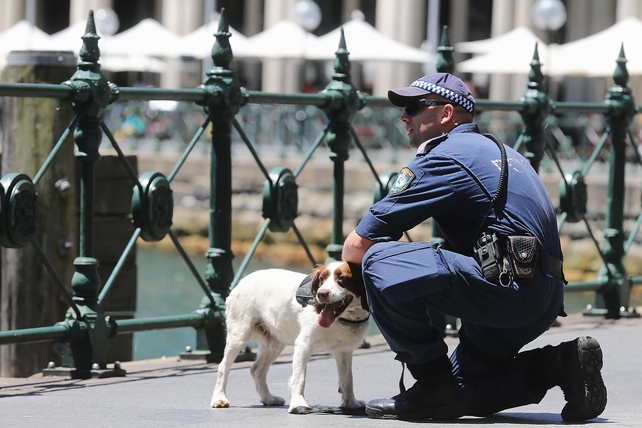 A police officer and dog in the CBD in Sydney