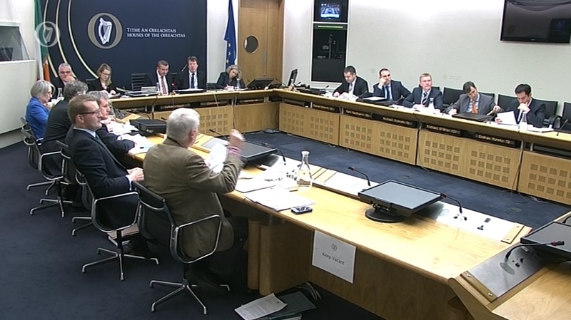 Banking expert tells Banking Inquiry that financial crisis was 'homegrown'