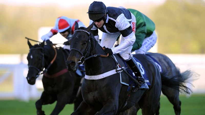 Sign Of A Victory has yet to race on ground officially described as slower than good to soft