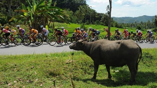 An interested spectator keeps an eye on the peloton during the Tour de Singkarak in Padang, Indonesia