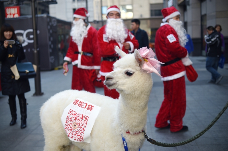 An alpaca is used during a sales promotion in Beijing