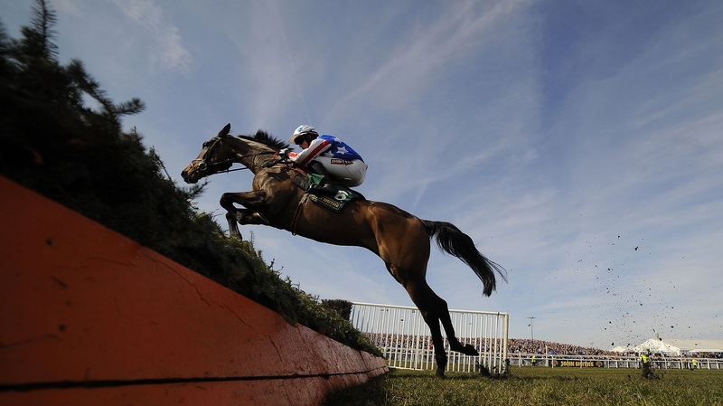 Special Tiara won the Desert Orchid Chase by two and a quarter lengths