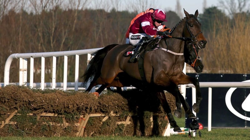 Lieutenant Colonel, ridden by Bryan Cooper, clears the last fence on his way to winning