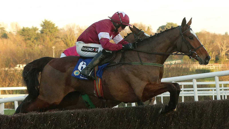 Don Poli is one of 60 horses who has left Closutton