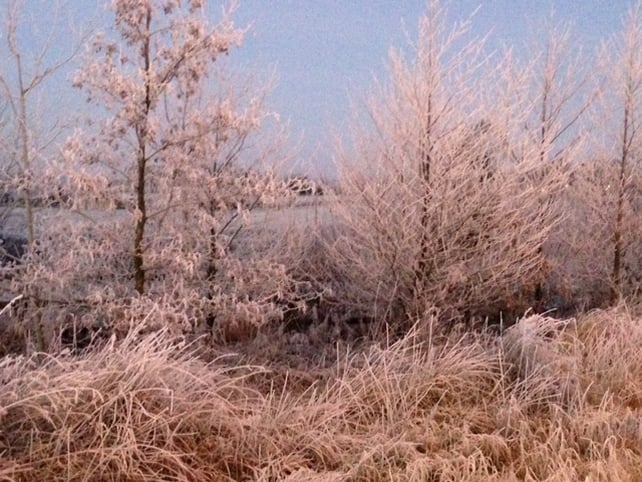 Christina Griffith stopped to take this picture on her way to work in Tullamore, Co Offaly