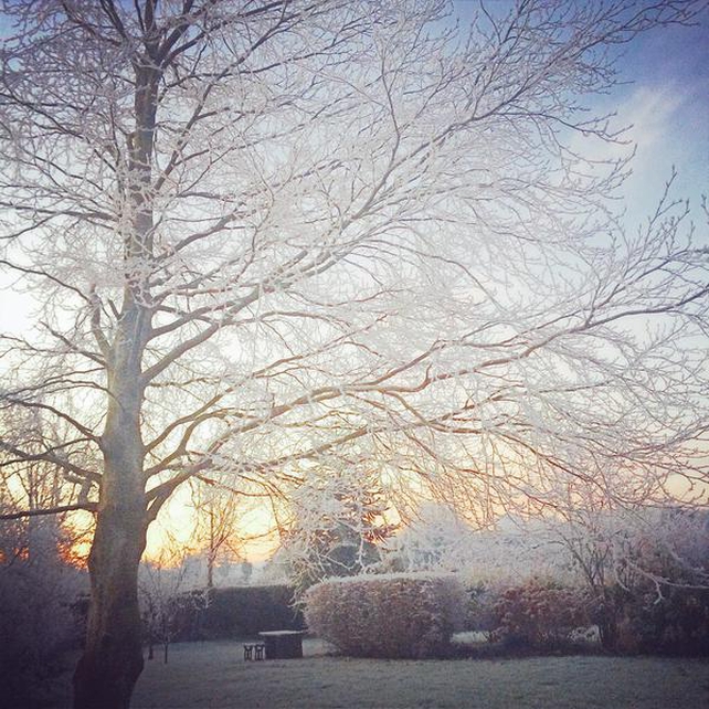 A wintry scene early this morning in Westmeath (Pic: @NeilSalmon1)