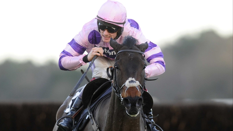 Ptit Zig looks set to be a major player in the JLT Novices' Chase at the Cheltenham Festival