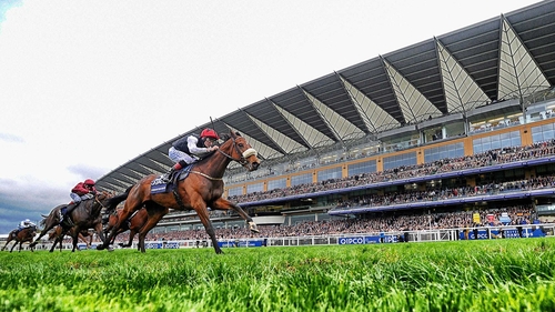Forgotten Rules looks likely to go to the Irish St Leger