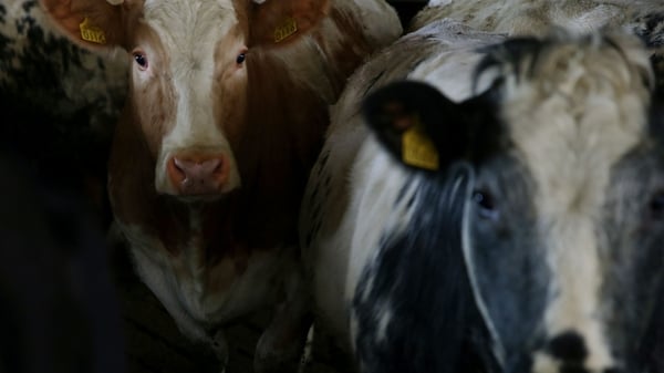 The Mercosur deal would pave the way for cheap imports of beef from South America