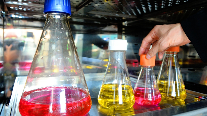 Investment planned in biotechnology, medical devices and diagnostics