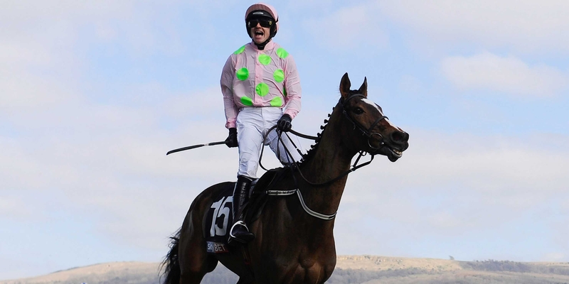 Vautour suffered his first defeat in seven starts at Leopardstown over Christmas