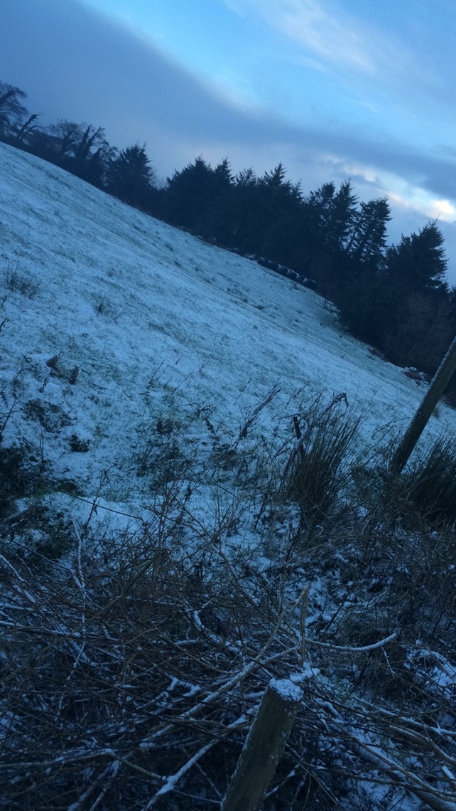 Snow falling in Johnstownbridge, Enfield, Co Meath (Pic: Joseph Rossa)