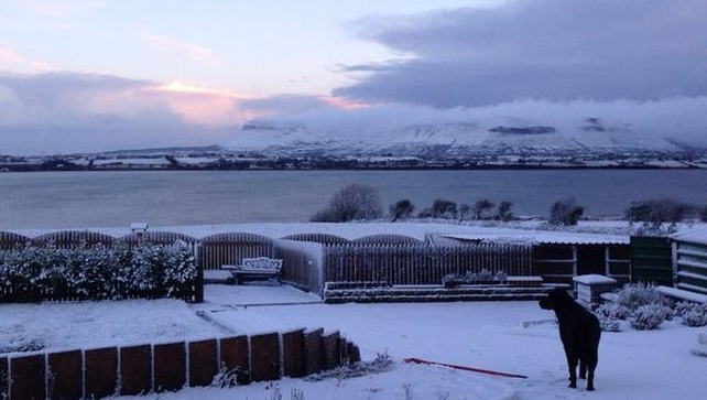 A dog looks out at a snowy Benbulben in Sligo (Pic: @Spifeypineapple)