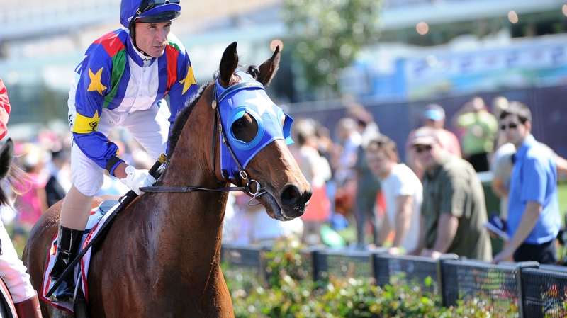 Magicool is one of the horses to test positive for cobalt chloride