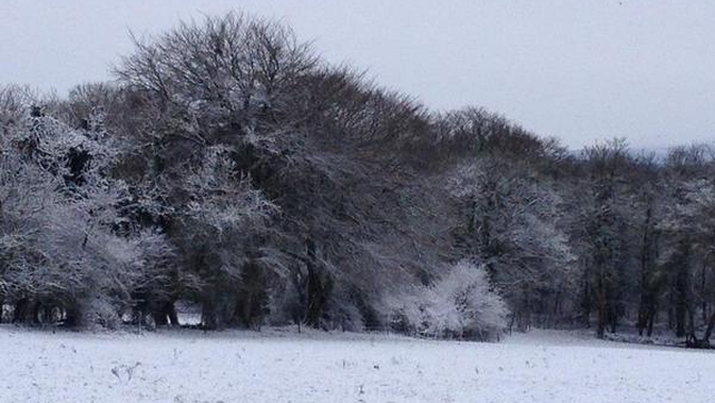 Snow in Mount Briscoe, Co Offaly (Pic: William H.L. Edgill)