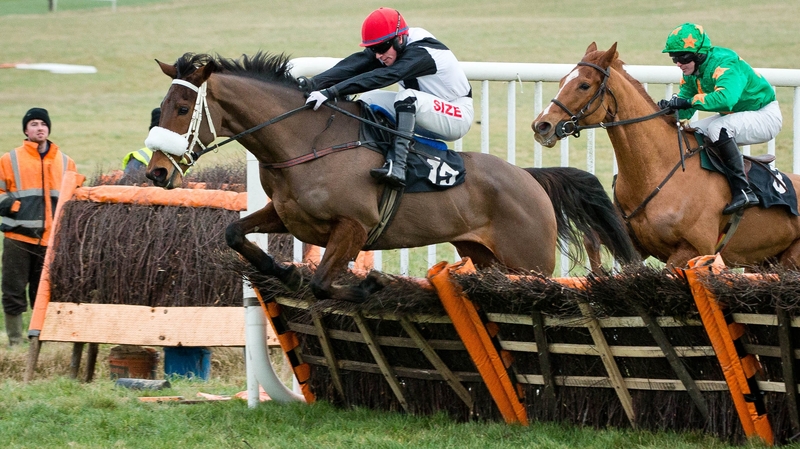 JJ Burke on Knockraha Pylon on his way to winning at Thurles