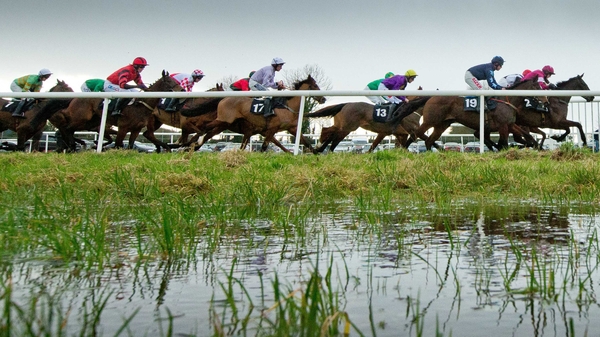 Ground at Thurles will be a big factor for Justmemyselfandi