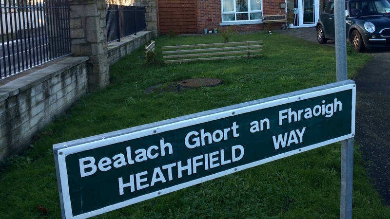 Dressed like gardaí in fluorescent jackets, they left a short time later with a small amount of personal cash