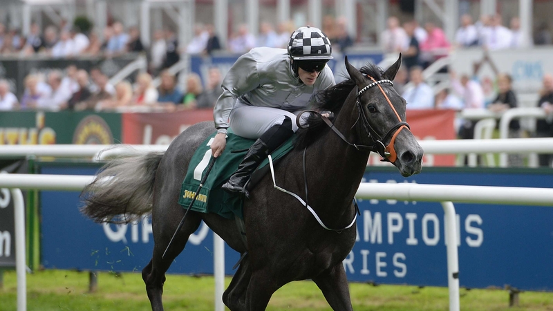 Agnes Stewart's pedigree suggests her optimum trip this season will be between 10 and 12 furlongs