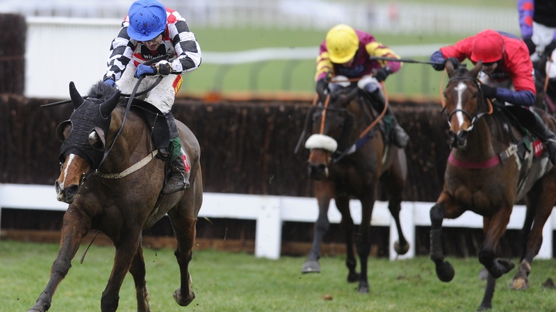 The Giant Bolster (L) won the race last year when it was known as the Argento Steeplechase