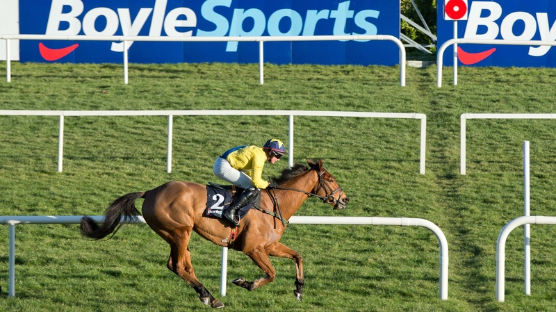 Foxrock may be heading to the Cheltenham Gold Cup