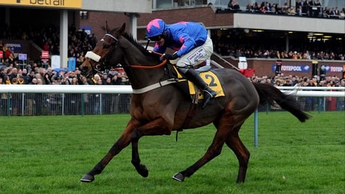 Cue Card saw off Dynaste in last season's Charlie Hall