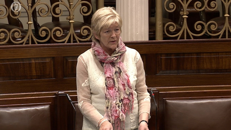Anne Ferris criticised the lack of objectivity in the Govt's selection of the 14 individual institutions