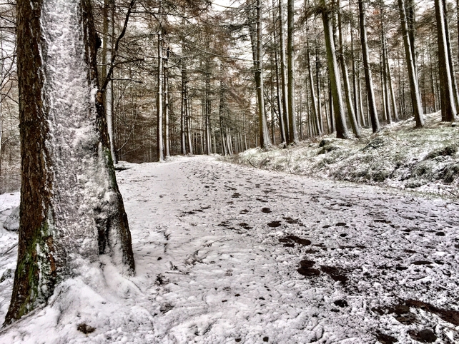 Snowy conditions in Rathfarnham, Co Dublin