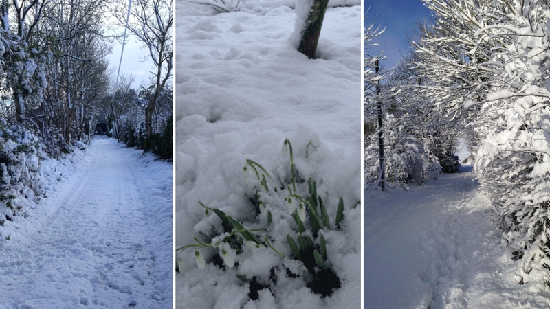 Share your pictures via yourphotos@rte.ie