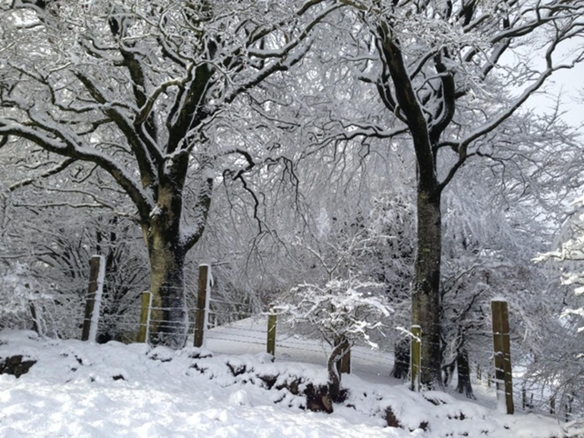 Snowy scenes in Monaghan