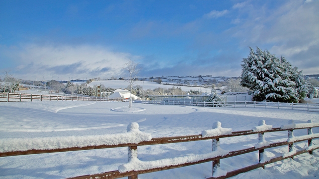 Winter Wonderland in Bailieborough, Co Cavan (Pic: Martin Sheridan)