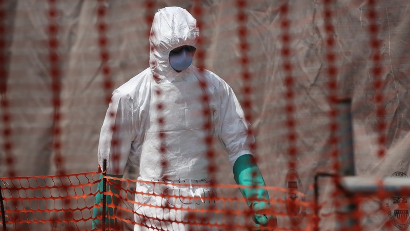 The experimental vaccines now moving into large clinical trials in West Africa target the current Ebola Zaire virus strain