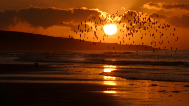 Béal Strand, Co Kerry at the mouth of the Shannon Estuary (Pic: Ita Hannon)