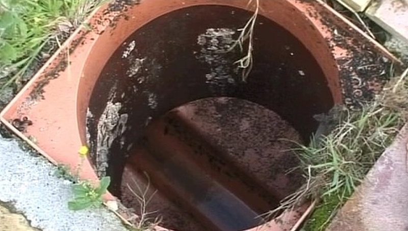 48% of household septic tanks inspected by local authorities failed