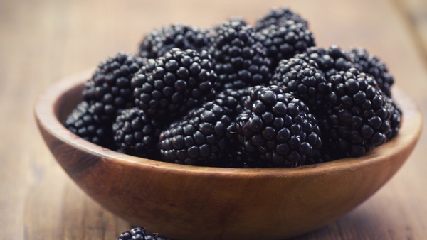 Blackberry and French Cream Tart