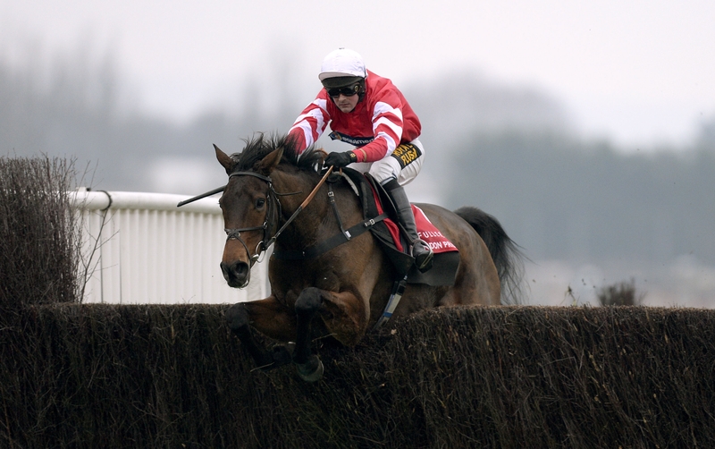 Coneygree is a top-price 7-2 for the Denman Chase