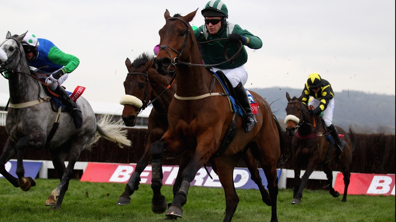 Salsify is a top-price 10-1 for the Foxhunter Chase at the Cheltenham Festival