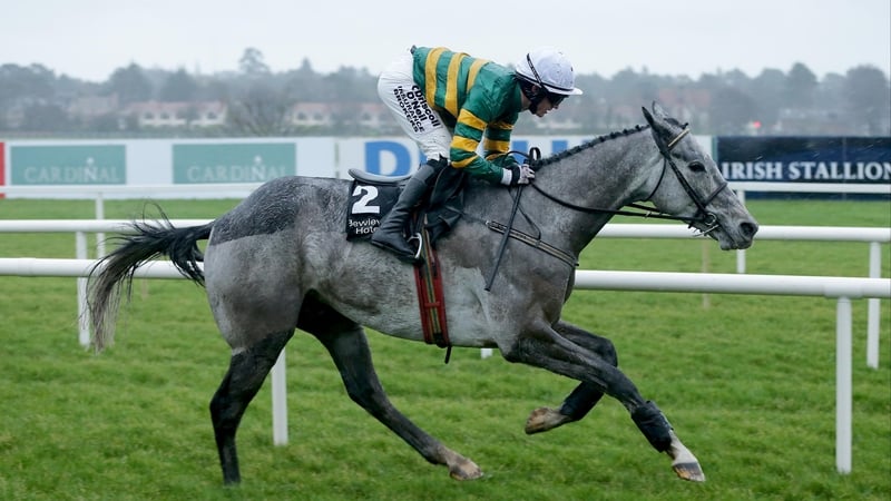 Deloitte Novice Hurdle favourite Alvisio Ville is no bigger than 5-4 for Grade One honours on just his second start over timber