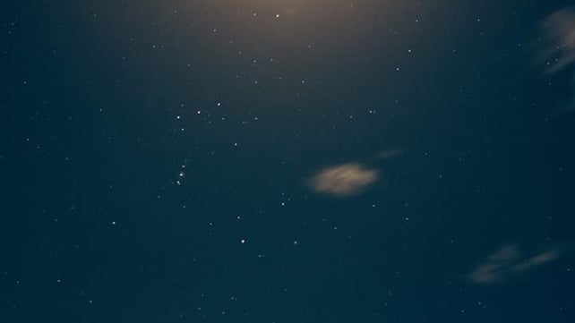 Looking up (Pic: Damien McCarthy)