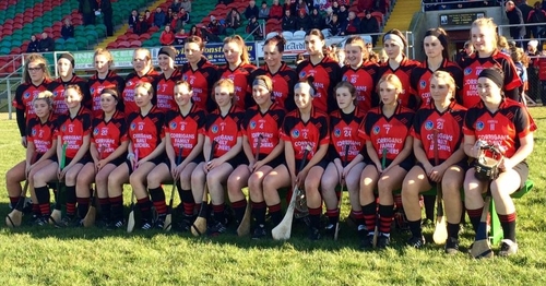 Oulart-The Ballagh will play Mullagh in the All-Ireland final. (Pic: @wexfordcamogie)