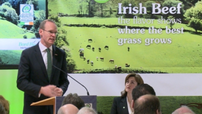 Simon Coveney speaking in New York during his trade visit