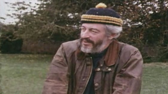 J.P. Donleavy (1975)
