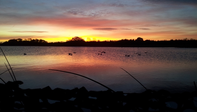 Sunrise over Lough Ree as seen from Carna Bay in Co Westmeath (Pic: Jonathan O'Rourke)