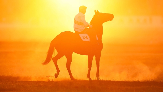 Le Musicienne heads out for morning jump-outs Flemington Racecourse in Melbourne