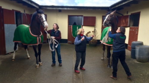 Mary McCann (c) with the cloned colts